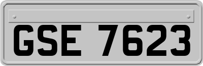 GSE7623