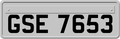 GSE7653