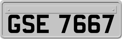 GSE7667