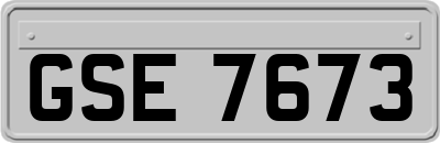 GSE7673