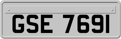 GSE7691