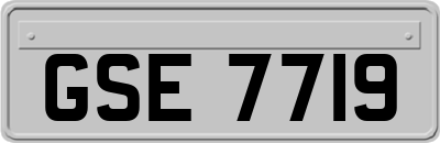 GSE7719