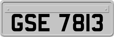 GSE7813