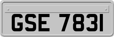 GSE7831