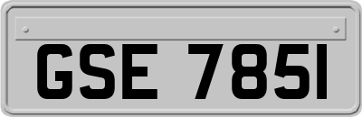 GSE7851