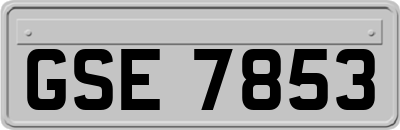 GSE7853