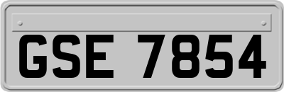 GSE7854