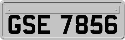 GSE7856