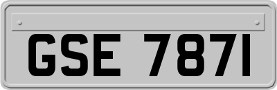 GSE7871