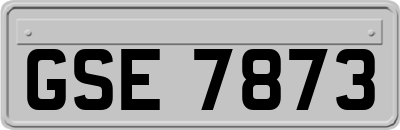 GSE7873