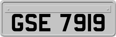 GSE7919