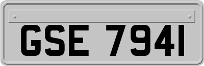 GSE7941