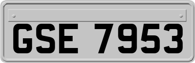 GSE7953