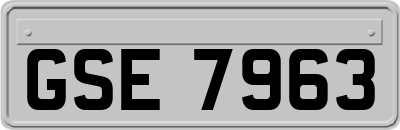 GSE7963