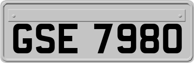 GSE7980