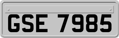 GSE7985