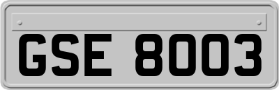 GSE8003