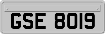 GSE8019