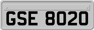 GSE8020
