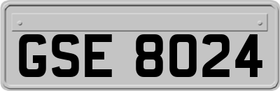 GSE8024