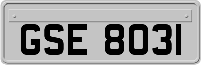 GSE8031
