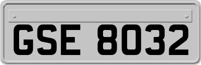 GSE8032