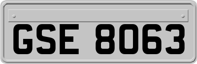 GSE8063