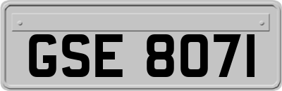GSE8071