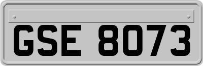 GSE8073
