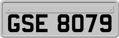 GSE8079
