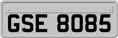 GSE8085