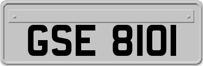 GSE8101