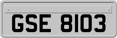 GSE8103