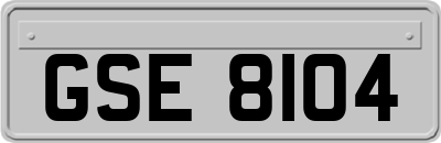 GSE8104