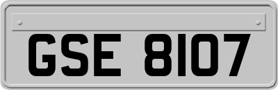GSE8107