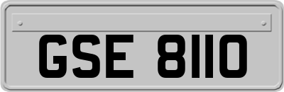 GSE8110