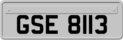 GSE8113