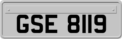 GSE8119