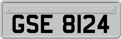 GSE8124