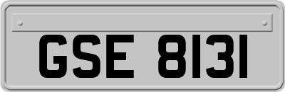 GSE8131