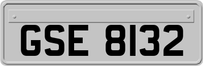 GSE8132