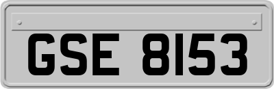 GSE8153