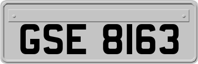 GSE8163