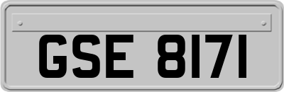 GSE8171