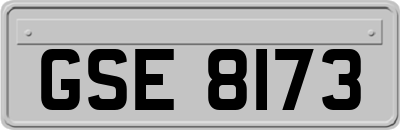 GSE8173