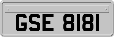 GSE8181