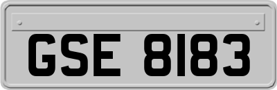 GSE8183