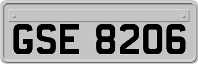 GSE8206