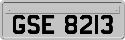 GSE8213
