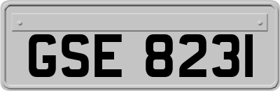 GSE8231